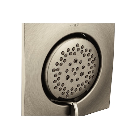 Two-Function 3-1/4 Diameter Spray Head Standard Brushed Nickel